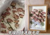 干燥剂制作干花的注意事项有哪些？
